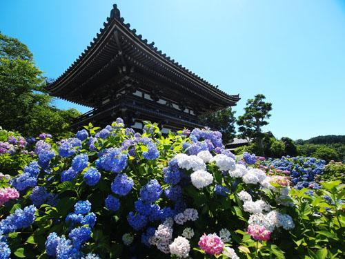 Aloha Inn Aine (Adults Only) Fukuchiyama Εξωτερικό φωτογραφία